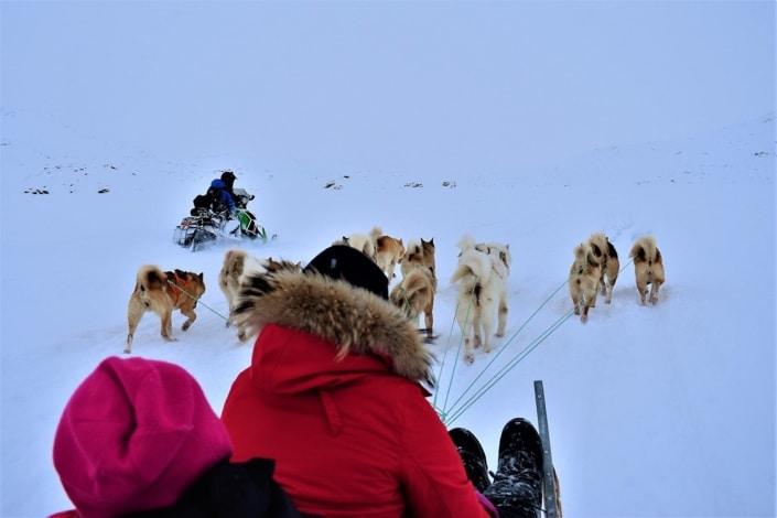 Snowmobile and dogsledding in East Greenland. Photo by Tasiilaq Tours - Visit Greenland
