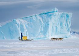 A dog sled transport with fish on the sea ice near Uummannaq in North Greenland. Photo by Marcela Cardenas.