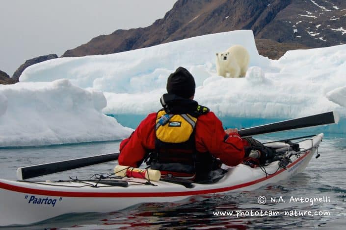 Kayaker meeting some wildlife near Tasiilaq. By N.A Antognelli
