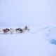 Photo by Greenland Fiord Tours