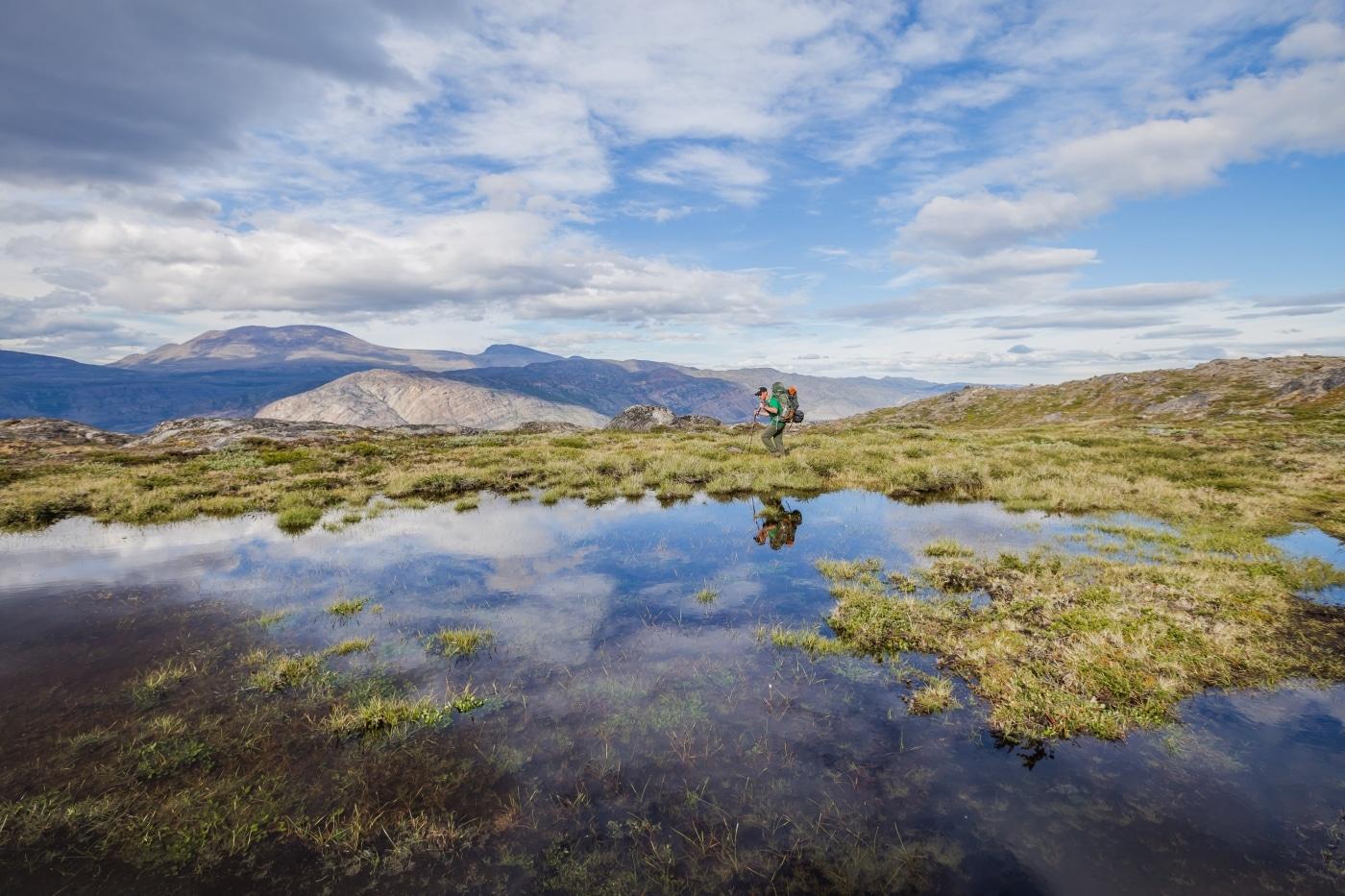 Hiker navigates a bog marsh along the Arctic Circle Trail. Photo by Lina Stock