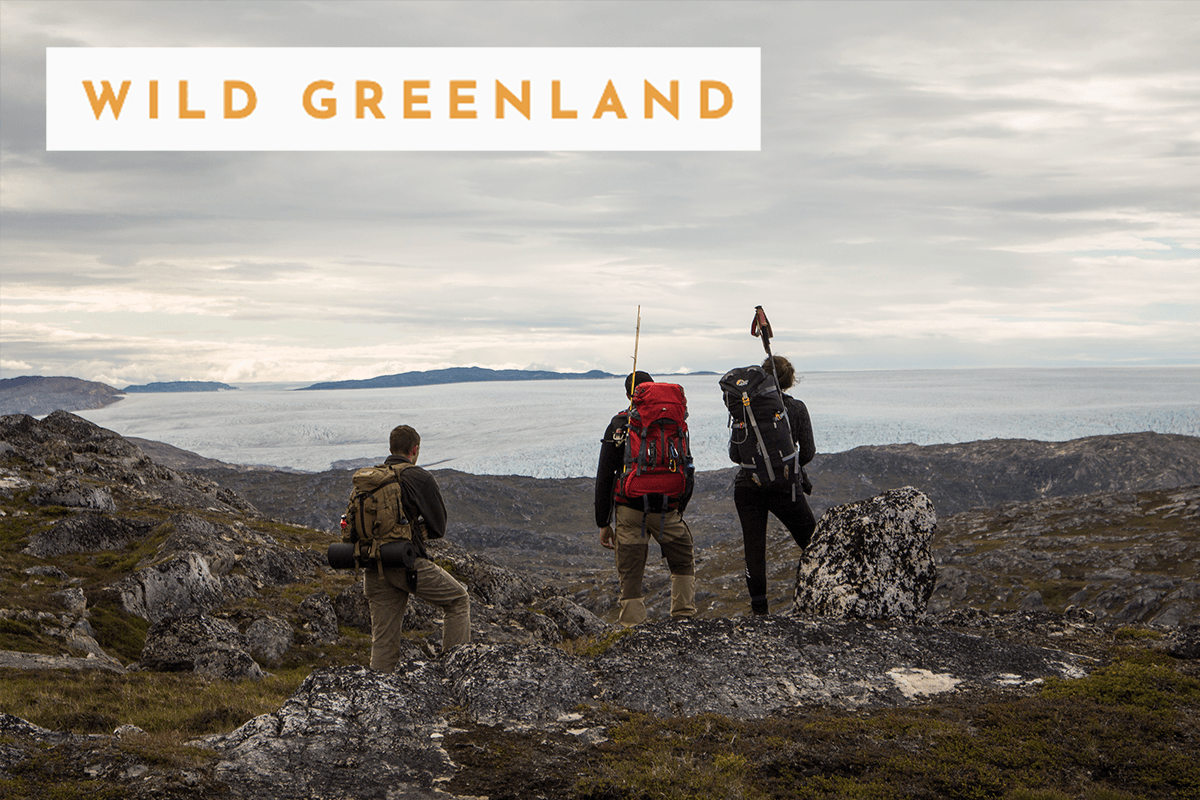 Wild Greenland: 8 dages arktisk eventyr på en rensdyrstation