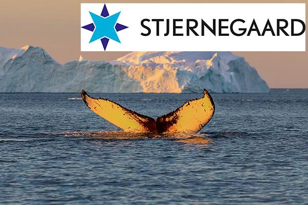 Stjernegaard Rejser: Midt i Grønlands mægtige natur
