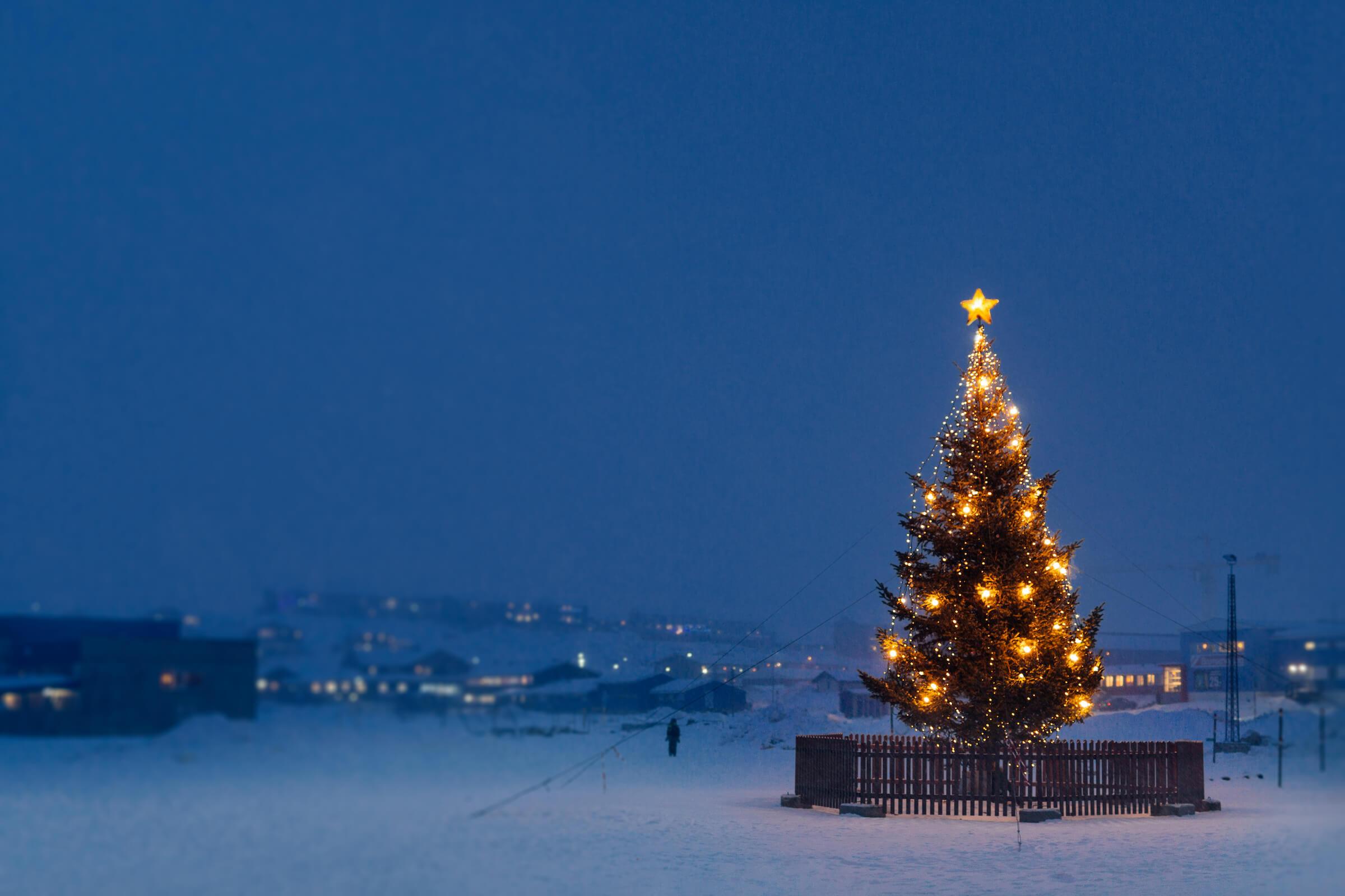A christmas tree in Nuuk in Greenland on a snowy december afternoon. Photo by Rebecca Gustafsson