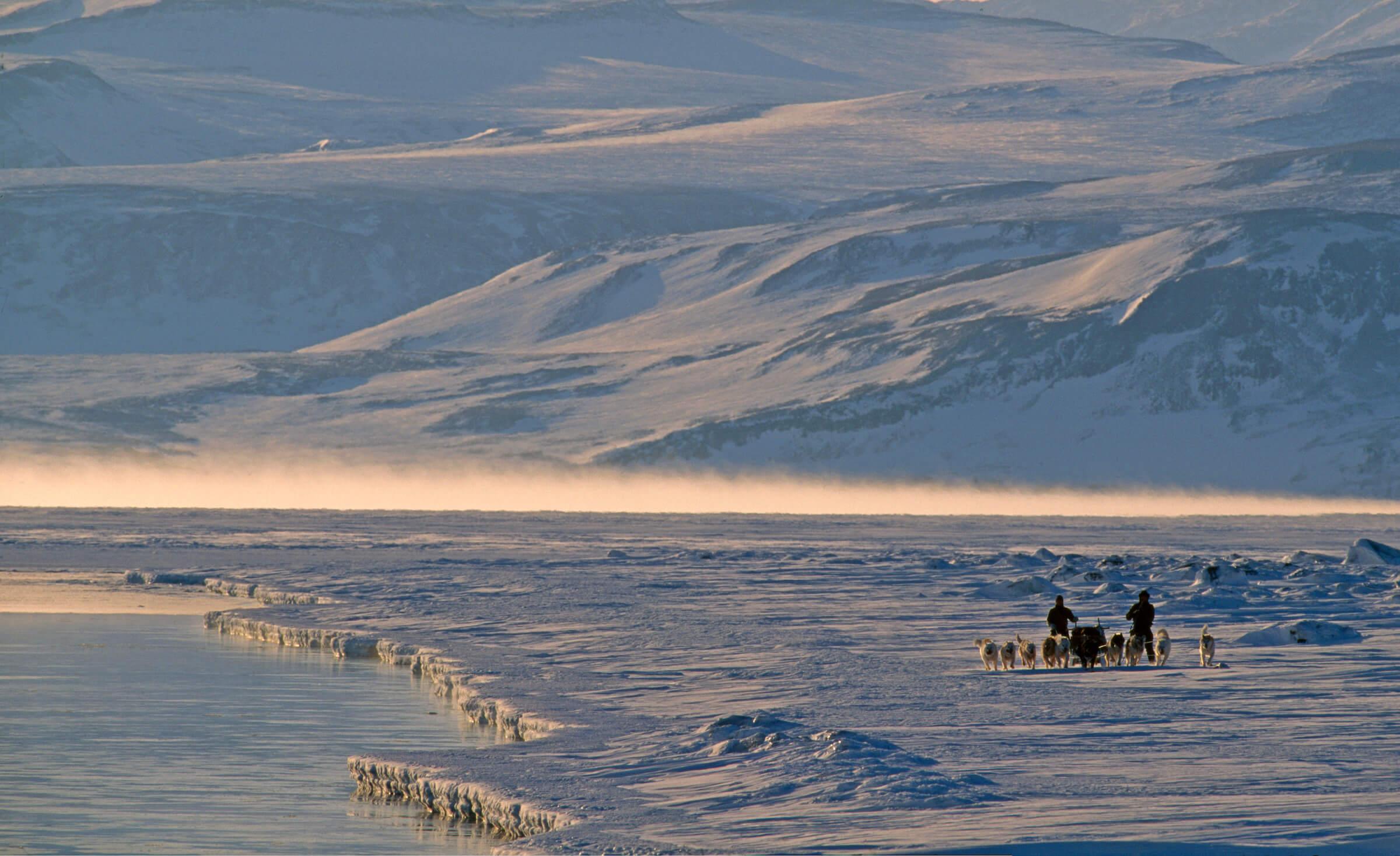 Dog sledding in the north east of Greenland. Photo by Magnus Elander