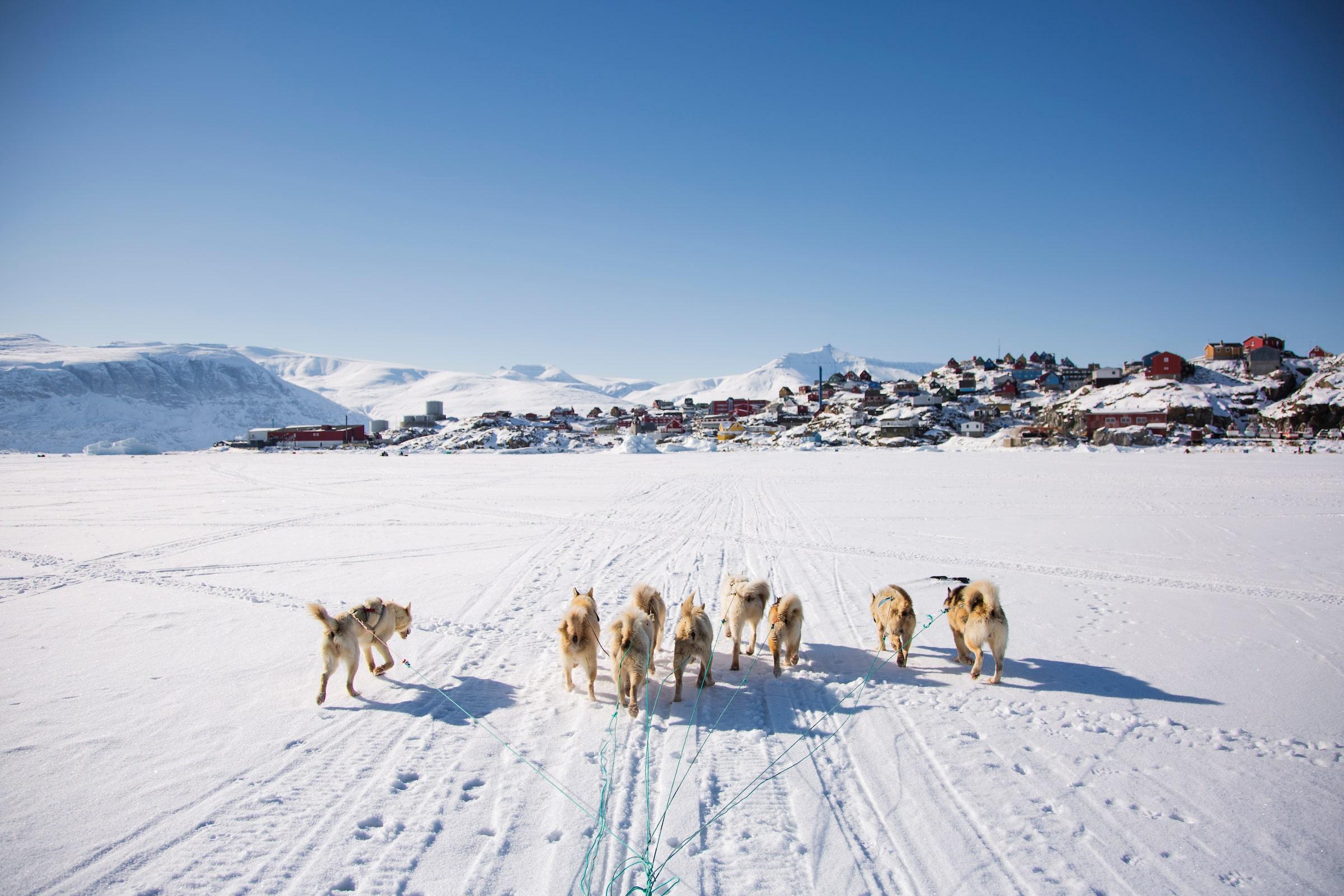 dog sledding back to Uummannaq. Photo-Aningaaq R Carlsen - Visit Greenland