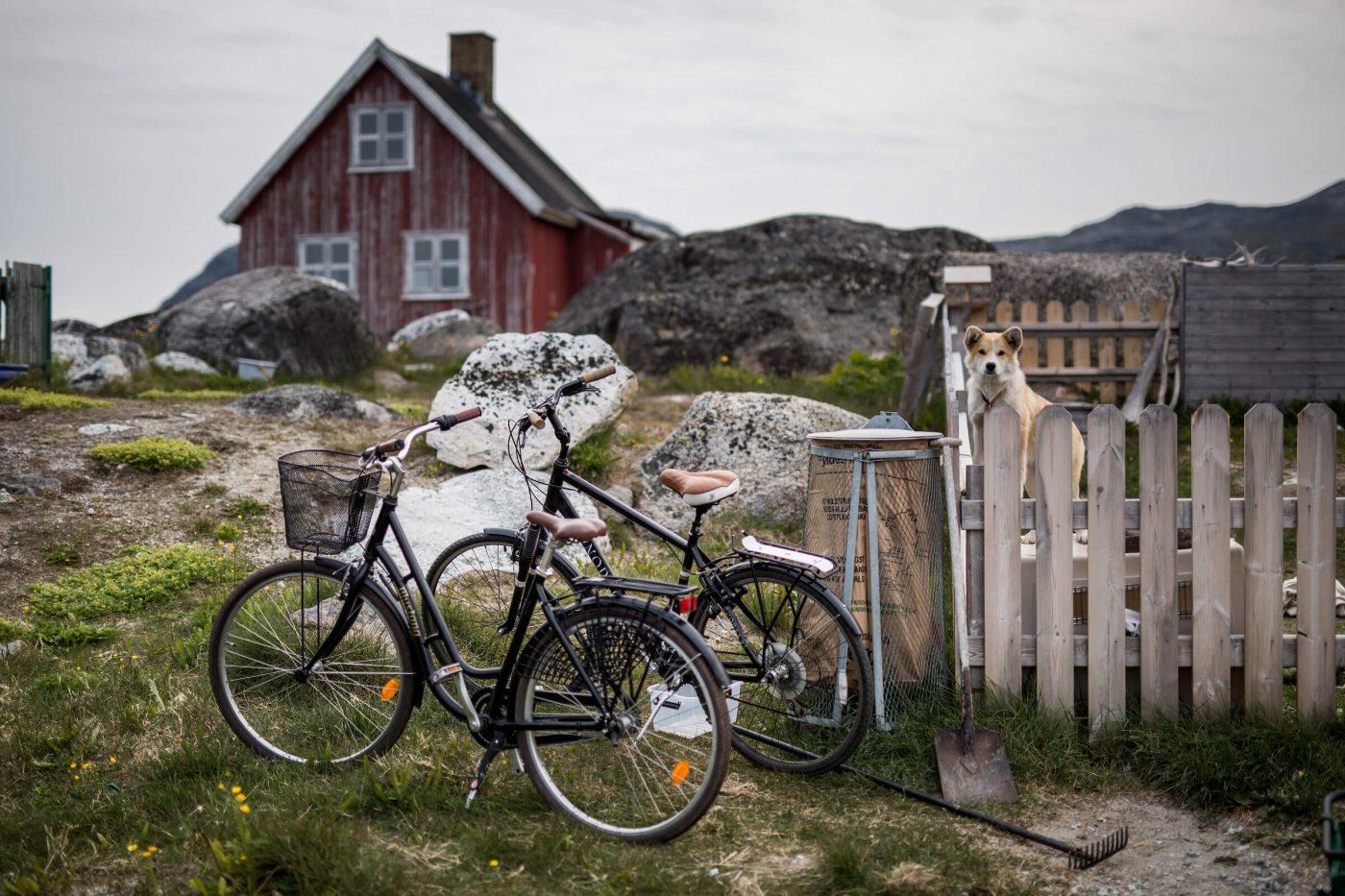 Two bikes parked outside a house in Nanortalik while a dog stares at the photographer in South Greenland. Photo by Mads Pihl.