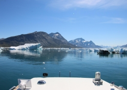Boat sailing among icebergs in Nuup Kangerlua in summer. Photo by Nuuk Bay Adventures