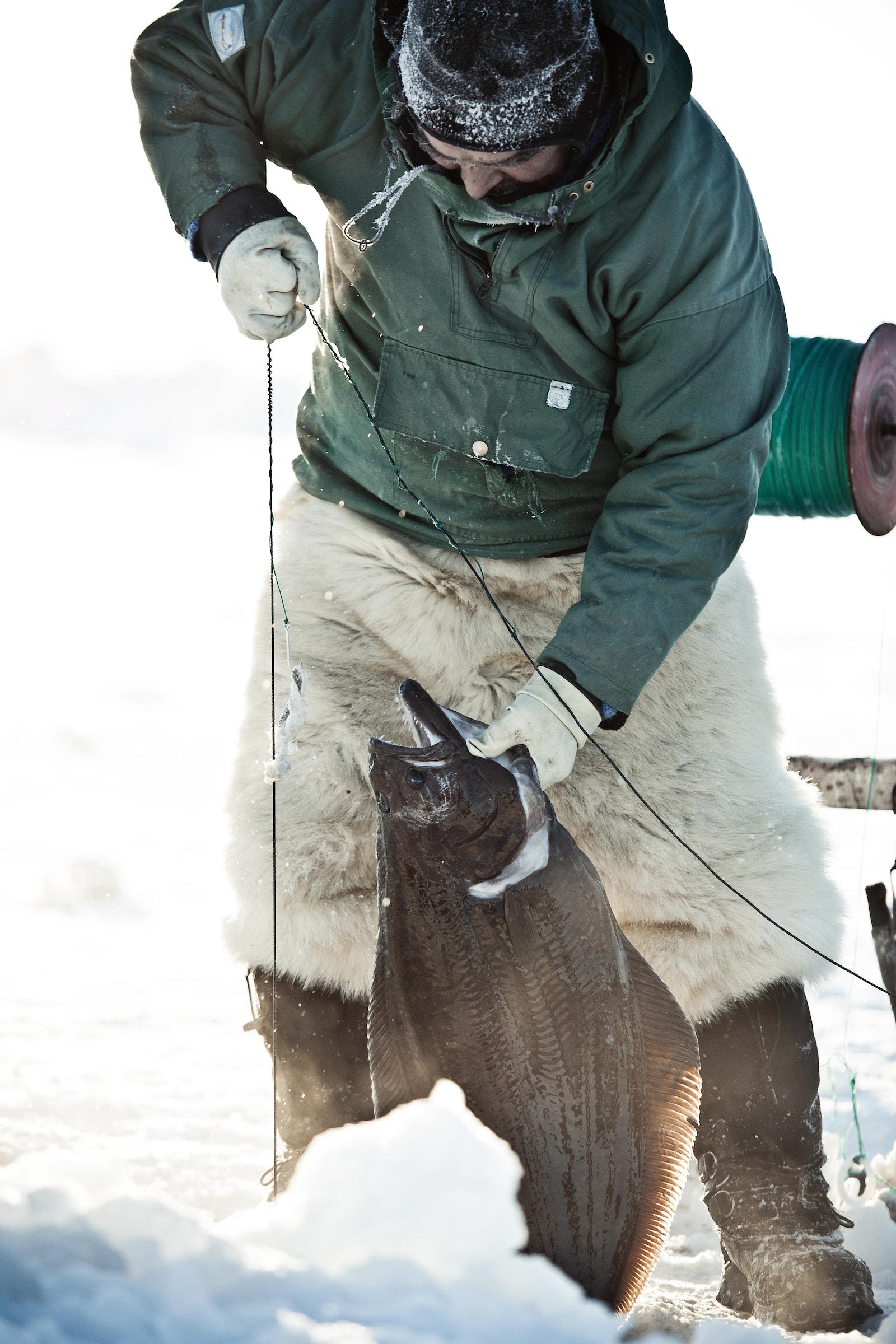 Fishing for halibut near Ilulissat in Greenland. Photo by André Schoenherr - Visit Greenland