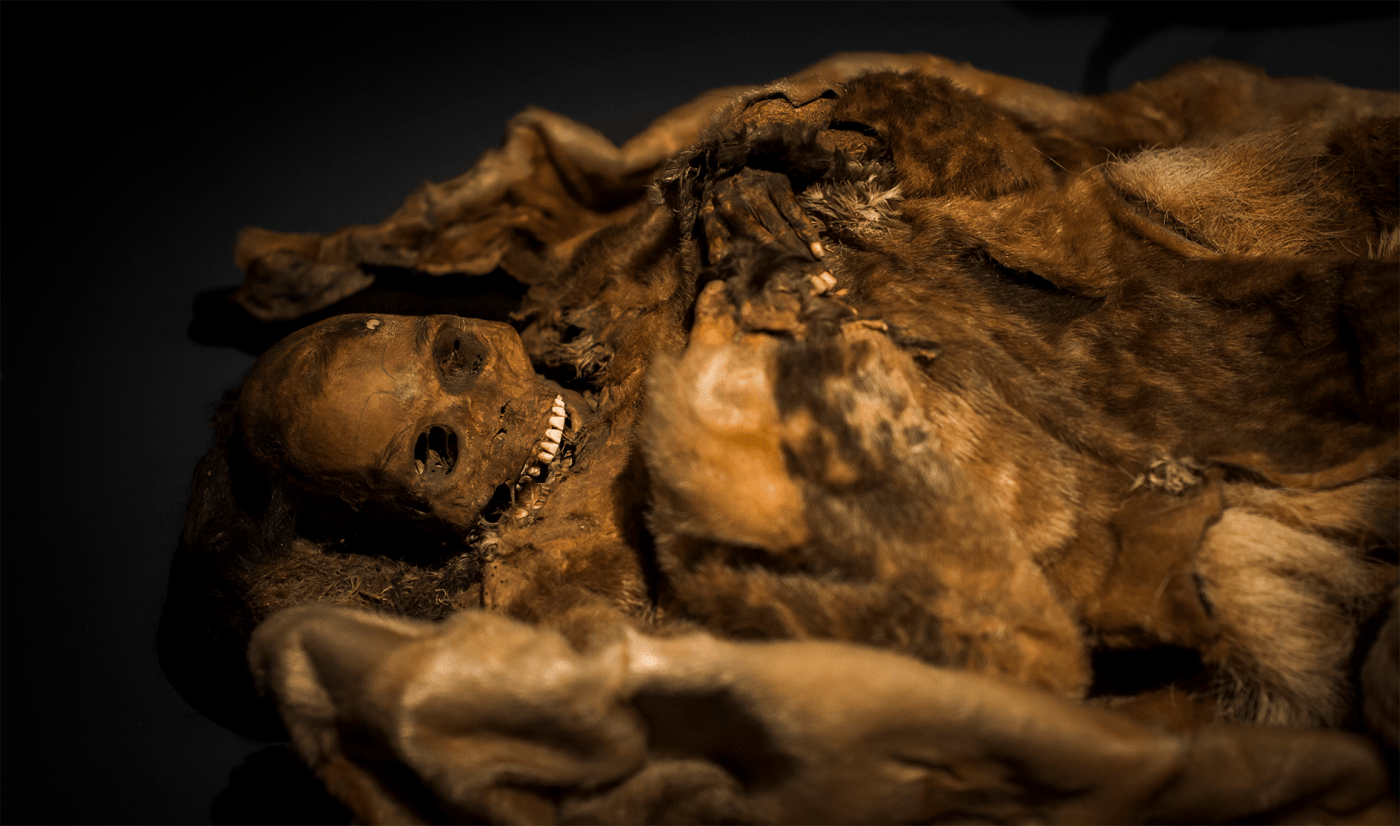 Facial tattoo mummy in Greenland National Museum. Photo by Peter Lindstrom - Visit Greenland