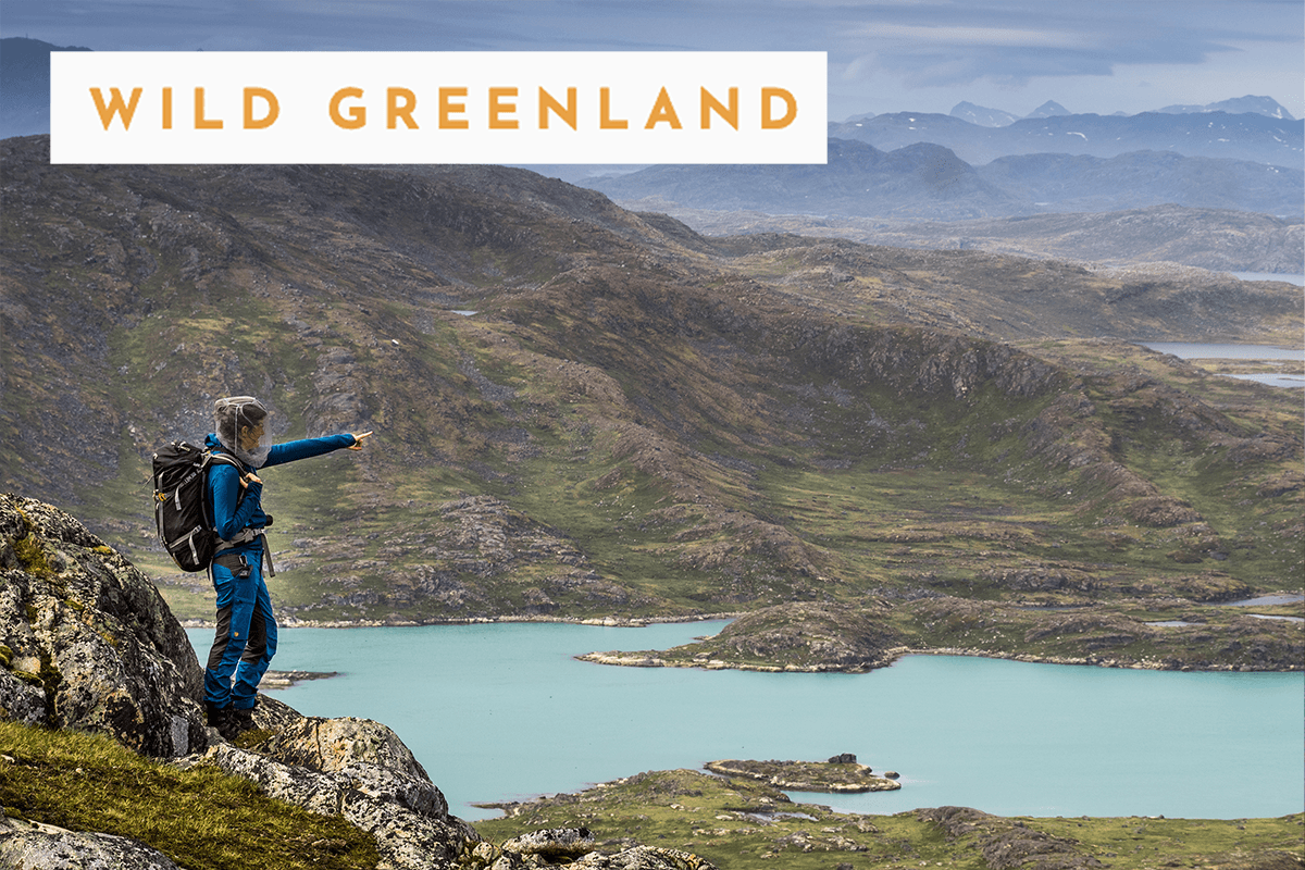 Wild Greenland: 8-tage Abenteuer auf einer Rentierstation