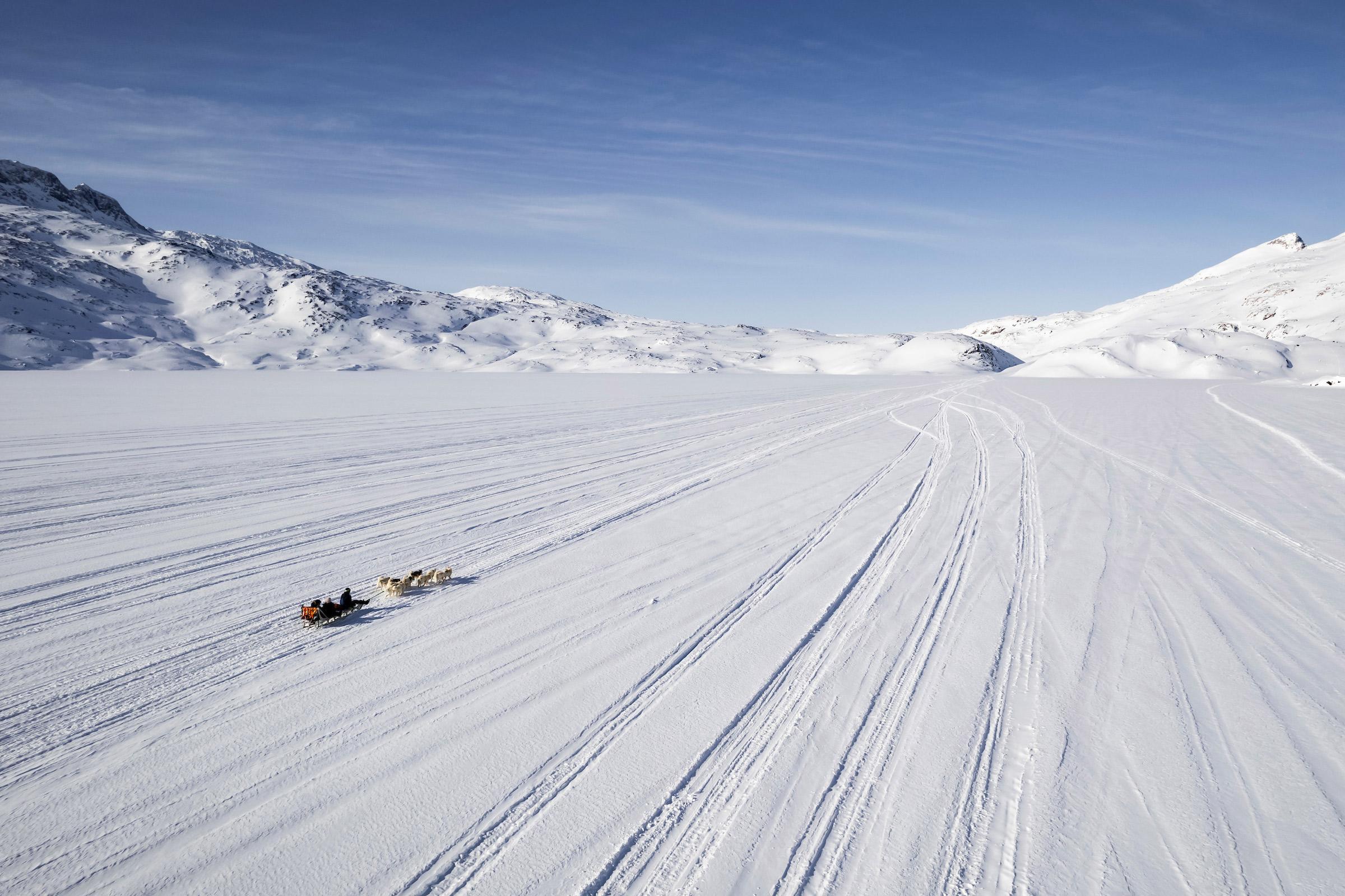 Dogsledding in the east. Photo by Aningaaq Rosing Carlsen - Visit Greenland