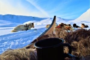 Coffee break on a dogsledding tour in East Greenland. Photo by Tasiilaq Tours