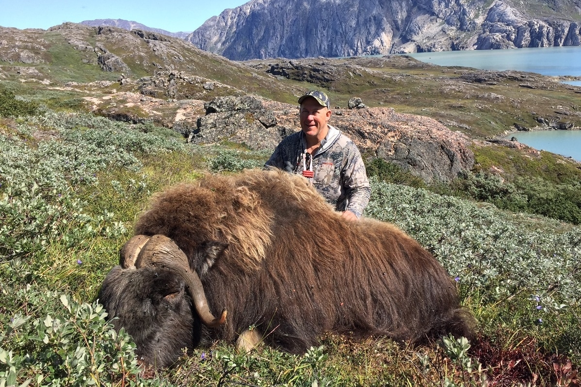 Bowhunting Greenland: Muskox Hunting with rifle