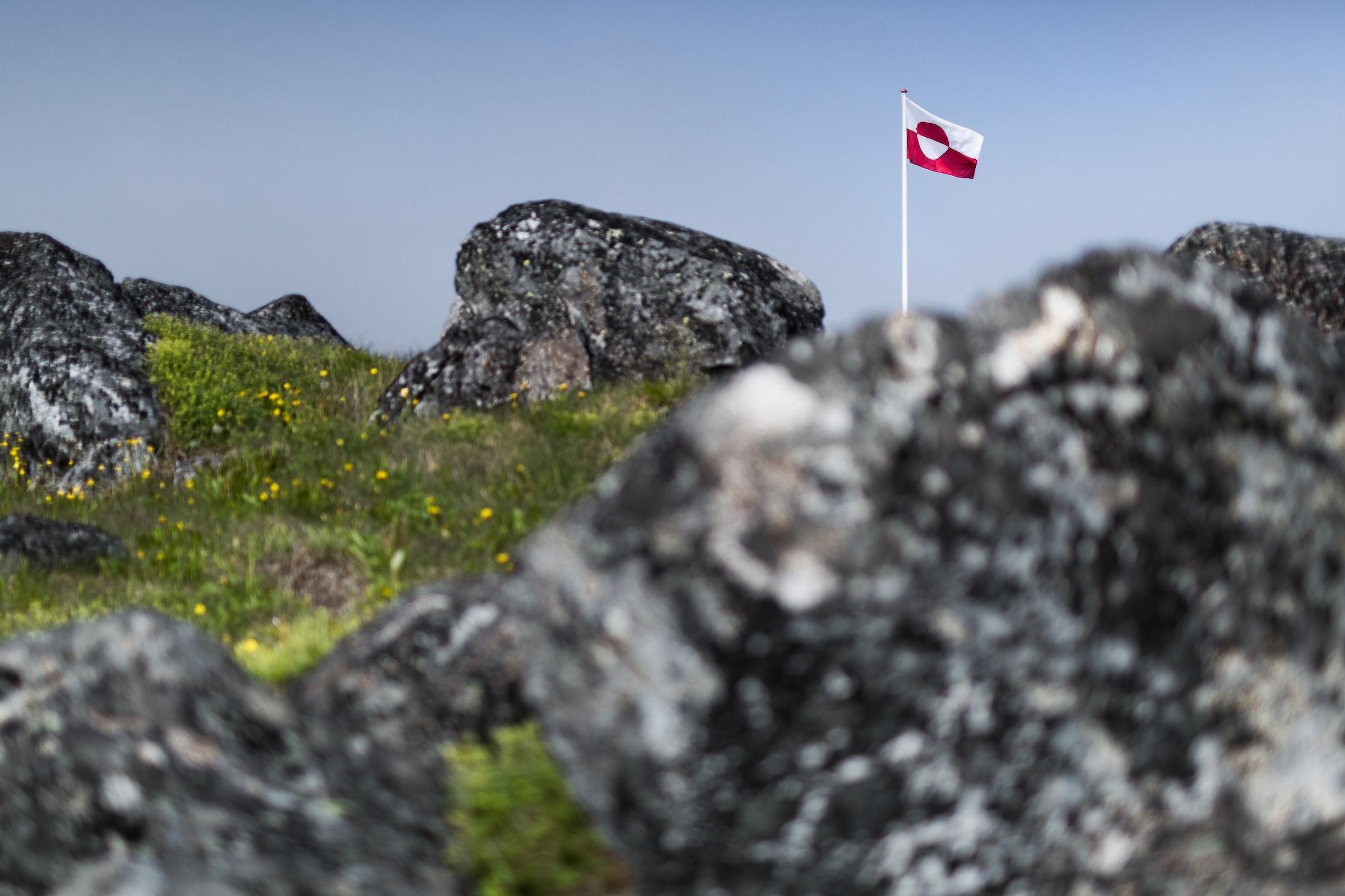 Erfalasorput - Greenland's flag on a sunny day in South Greenland among rocks and flowers. Photo by Mads Pihl - Visit Greenland