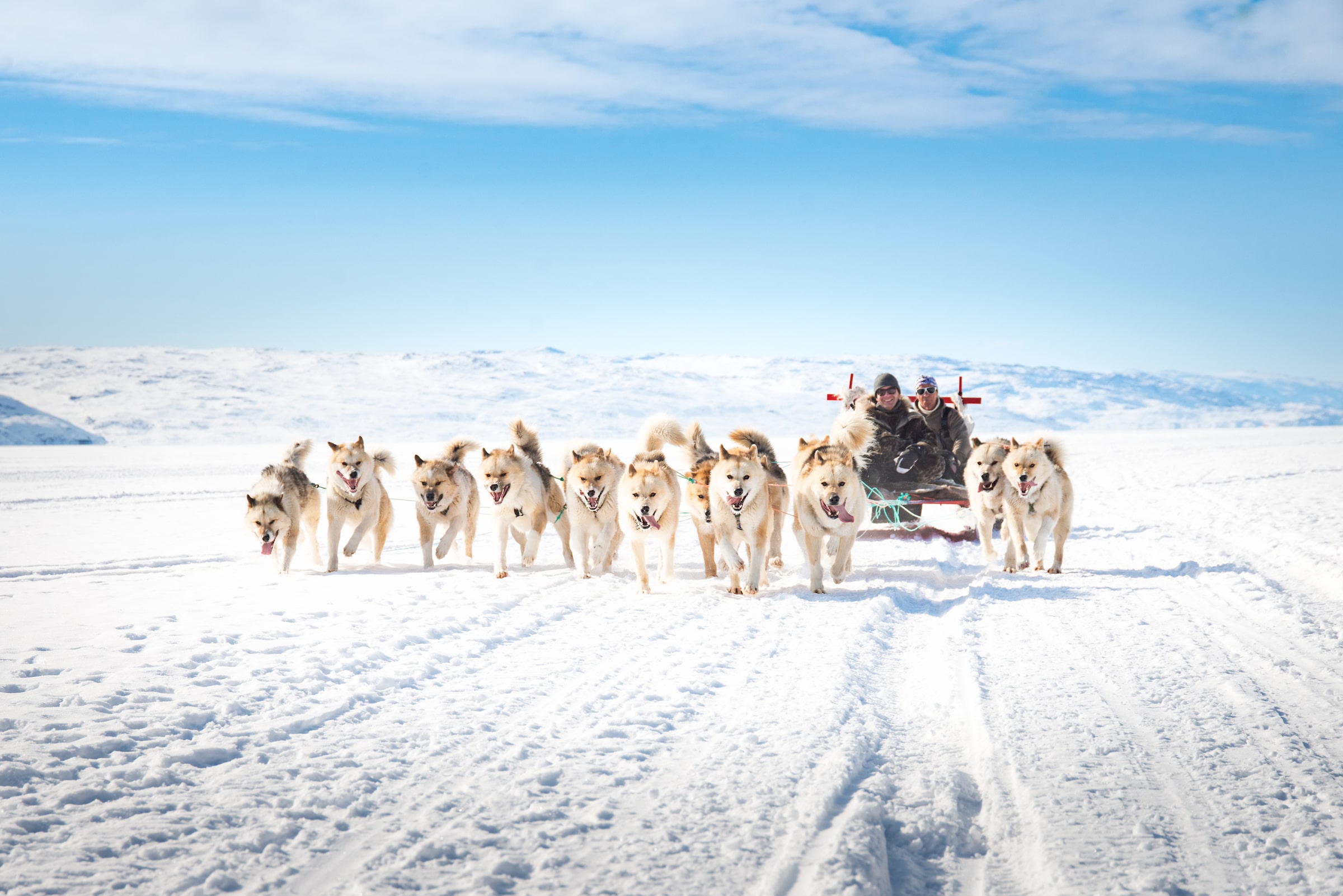 Dogsledding in Kangerlussuaq. Photo by Anders Beier - Visit Greenland