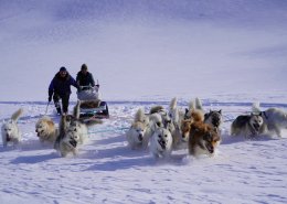 Inuk Expedition