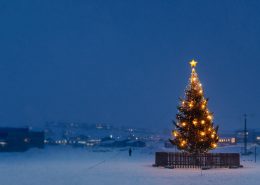 A Christmas tree in Nuuk in Greenland on a snowy december afternoon. Photo by Rebecca Gustafsson - Visit Greenland
