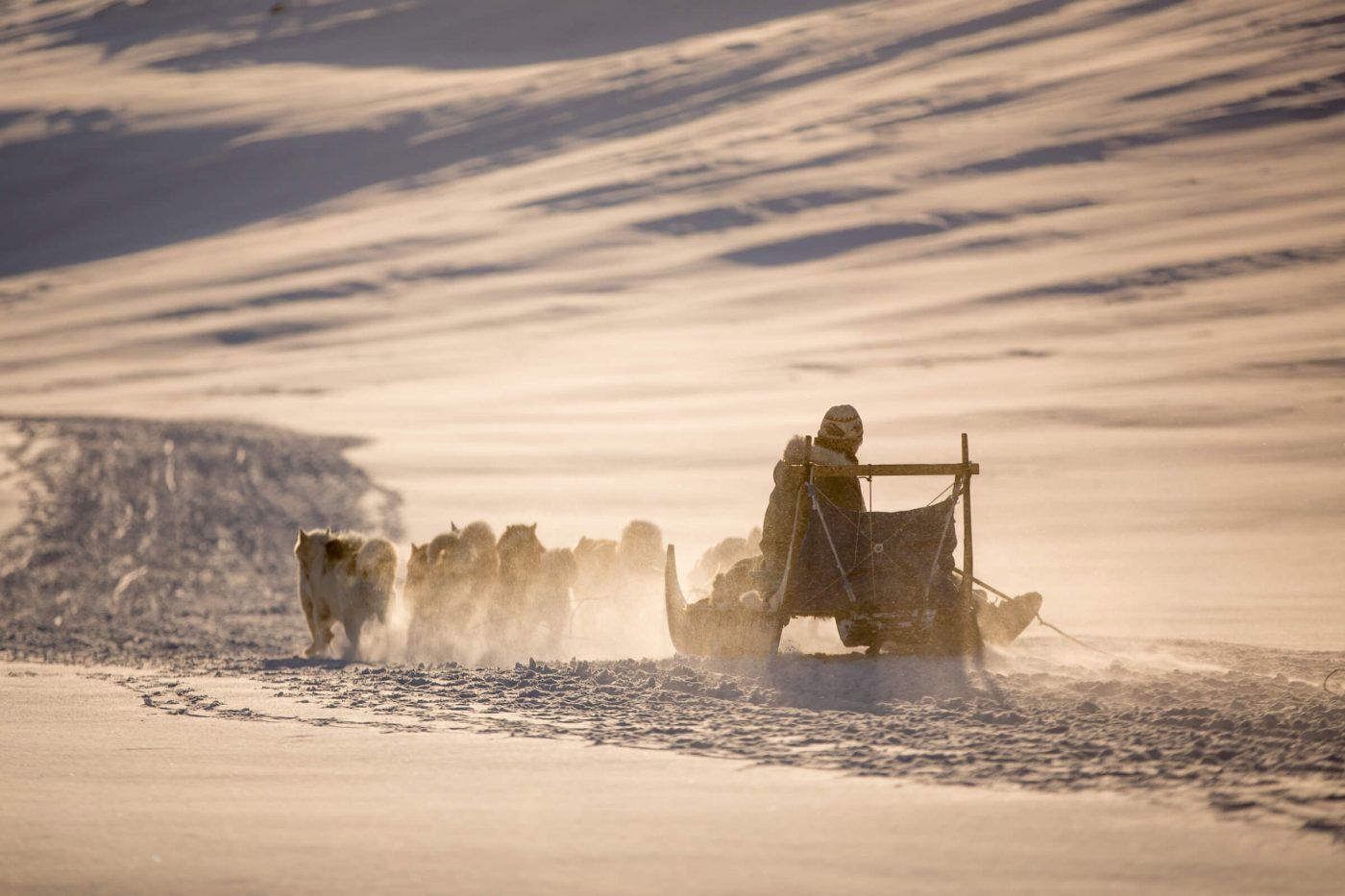 A dog sled heading home towards Sisimiut in Greenland in the setting sun. Photo by Mads Pihl