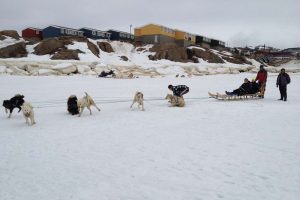 People on a dog sled leaving from Kulusuk, going to Apusiajik (‘Little’ glacier). Photo by Arctic Wonderland Tours