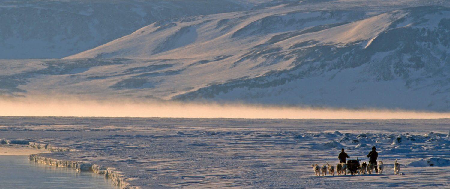 Dog sledding in the north east of Greenland. Photo by Magnus Elander