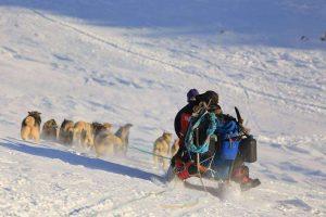 Dogsledding in Ittoqqortoormiit area in East Greenland. Photo by Nanu Travel