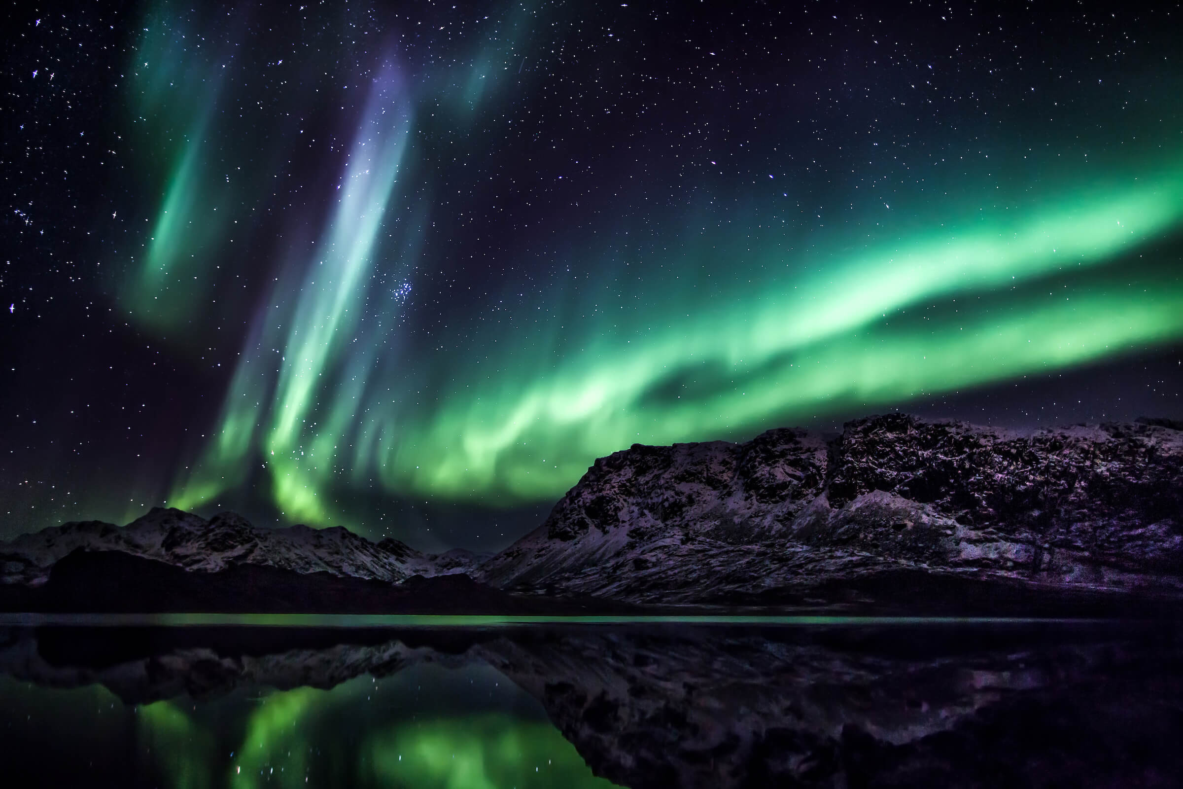 Anvendelig Trivial madlavning Northern Lights, a great surprise of the Arctic night - [Visit Greenland!]