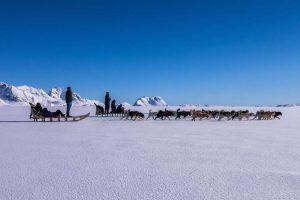 Two dogsleds on ice. Photo by Pirhuk - Greenland Expedition Specialists