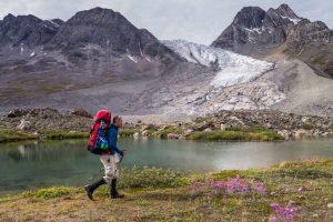 Hiker in Summer landscape in East Greenland. Photo by Pirhuk - Greenland Expedition Specialists