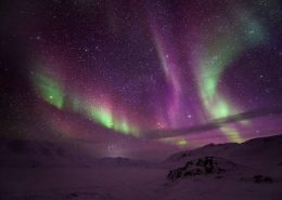 wogac-northern-lights